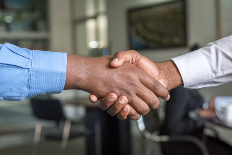 Vendor Management & Procurement Support